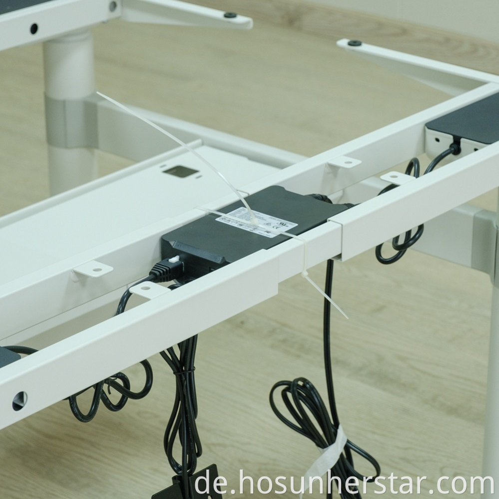 Double Motor Adjustable Desk